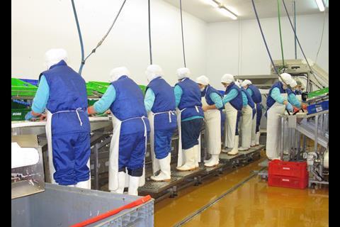 Filleting is all done by hand at More because it creates higher yields